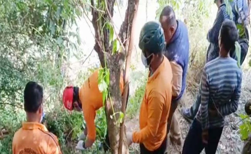 रुद्रप्रयाग: गुलदार ने गौशाला जा रहे ग्रामीण को बनाया निवाला, घटनास्थल से 200 मीटर दूर मिला शव