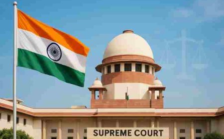 आवारा कुत्तों पर सुनवाई के दौरान सुप्रीम कोर्ट ने लिया बड़ा फैसला!