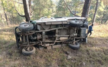 बड़ा हादसा : खाई में गिरा मैक्स वाहन, चालक की मौत