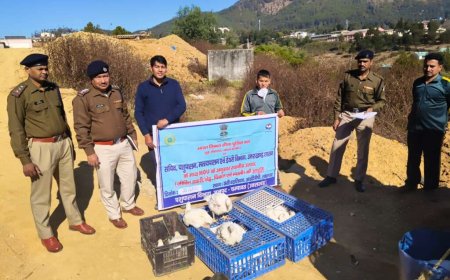 चम्पावत : स्थानीय पशुपालकों को मिल रहा लाभ, आईटीबीपी को की 700 किलो जीवित मुर्गी की आपूर्ति