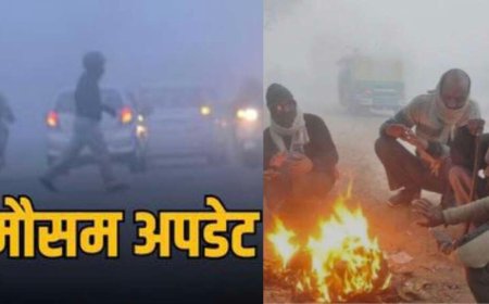 Uttarakhand Weather: उत्तराखंड मौसम पूर्वानुमान में आज कोल्ड- डे और घने कोहरे का यलो अलर्ट , इन जिलों में