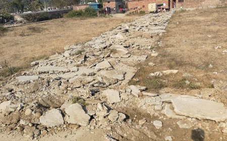 अवैध प्लॉटिंग से पर्यावरण और नागरिकों को नुकसान, एमडीडीए का बड़ा एक्शन