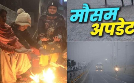 Uttarakhand Weather: उत्तराखंड में आज का मौसम पूर्वानुमान , घने कोहरे का येलो अलर्ट इन जिलों में, गिरेगा तापमान