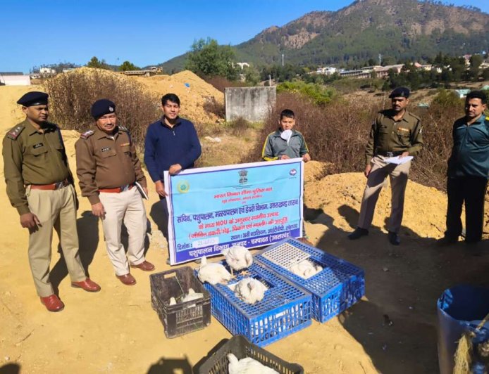 चम्पावत : स्थानीय पशुपालकों को मिल रहा लाभ, आईटीबीपी को की 700 किलो जीवित मुर्गी की आपूर्ति