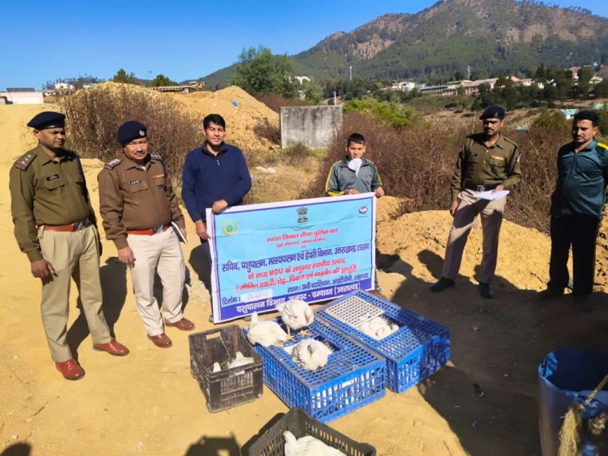 चम्पावत : स्थानीय पशुपालकों को मिल रहा लाभ, आईटीबीपी को की 700 किलो जीवित मुर्गी की आपूर्ति