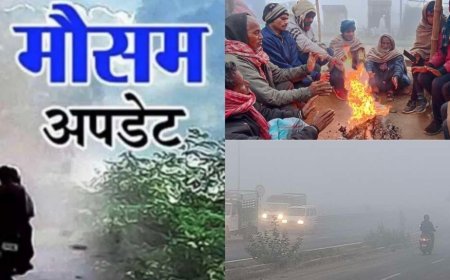 Uttarakhand Weather: उत्तराखंड में आज का मौसम, कोहरा -ठंड से राहत नहीं, इन जिलों में येलो अलर्ट