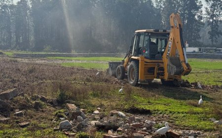 दिल्ली में अवैध निर्माण और प्लॉटिंग पर सख्त नीतियां: एमडीडीए का अभियान जारी