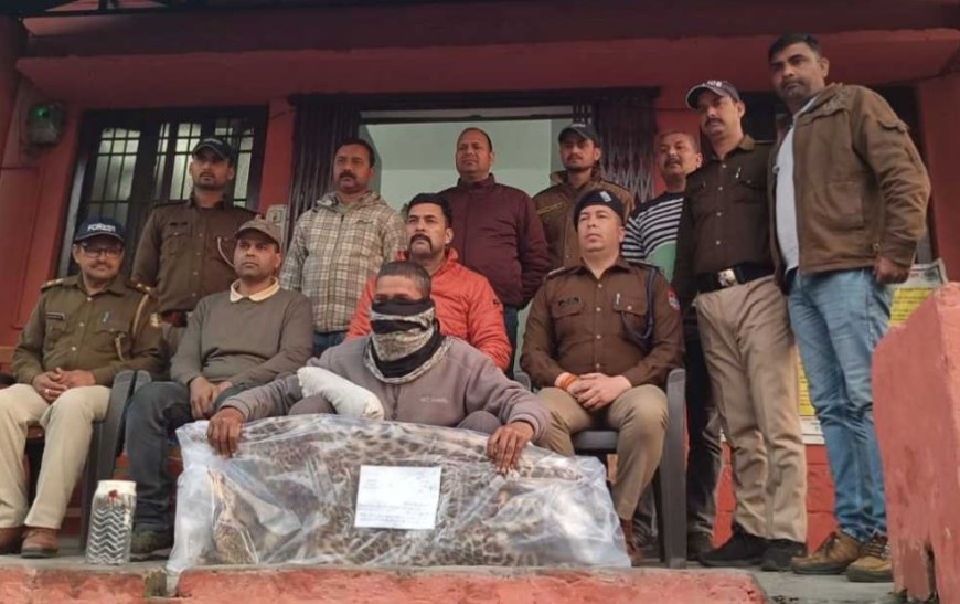 चम्पावत : चल्थी चौकी चेक पोस्ट पर गुलदार की खाल समेत एक गिरफ्तार