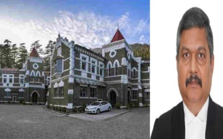 महिला उत्पीड़न के आरोपी नेता को हाईकोर्ट का आदेश, 3 दिन के अंदर पीड़िता से शादी की समस्या का समाधान करें