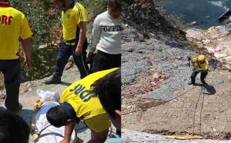 200 मीटर नीचे गिरा पिकअप वाहन, चालक की मौके पर मौत