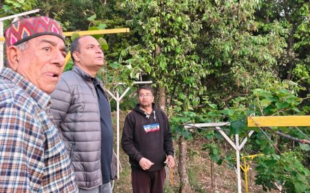 डीएम मनीष कुमार ने चम्पावत के युवा कृषक कमल गिरी को सराहा, बागवानी में स्थापित किए नए मानदंड