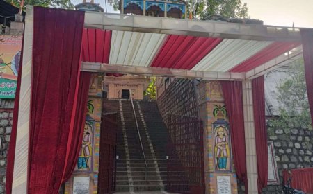 हरिद्वार राजाजी टाइगर रिजर्व में शादी समारोह पर कैबिनेट मंत्री का स्पष्टीकरण, वन निदेशक पर लगाया आरोप