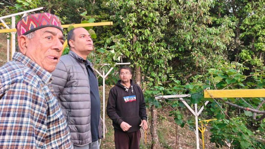 डीएम मनीष कुमार ने चम्पावत के युवा कृषक कमल गिरी को सराहा, बागवानी में स्थापित किए नए मानदंड