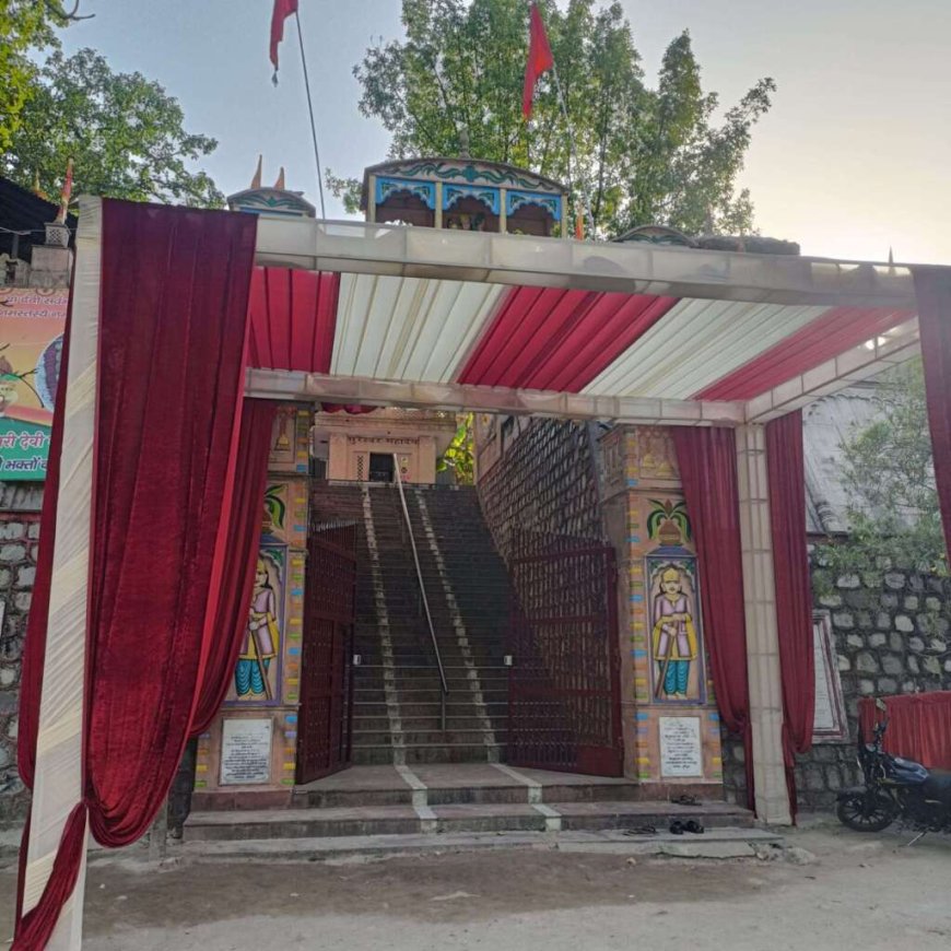 हरिद्वार राजाजी टाइगर रिजर्व में शादी समारोह पर कैबिनेट मंत्री का स्पष्टीकरण, वन निदेशक पर लगाया आरोप