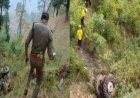 अल्मोड़ा में दर्दनाक सड़क हादसा: ट्रैक्टर-ट्रॉला 100 मीटर गहरी खाई में गिरा, दो युवकों की मृत्यु