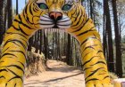 चम्पावत की पर्यटन यात्रा: जिम कॉर्बेट ट्रेल और फूंगर बंगले का हुआ नवीनीकरण