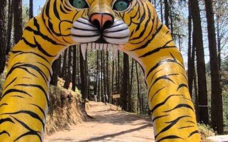 चम्पावत की पर्यटन यात्रा: जिम कॉर्बेट ट्रेल और फूंगर बंगले का हुआ नवीनीकरण