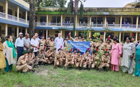 हरेला महापर्व: ज्योति प्रसाद गैरोला ने किया वृक्षारोपण, पर्यावरण संरक्षण की आवश्यकता पर जोर