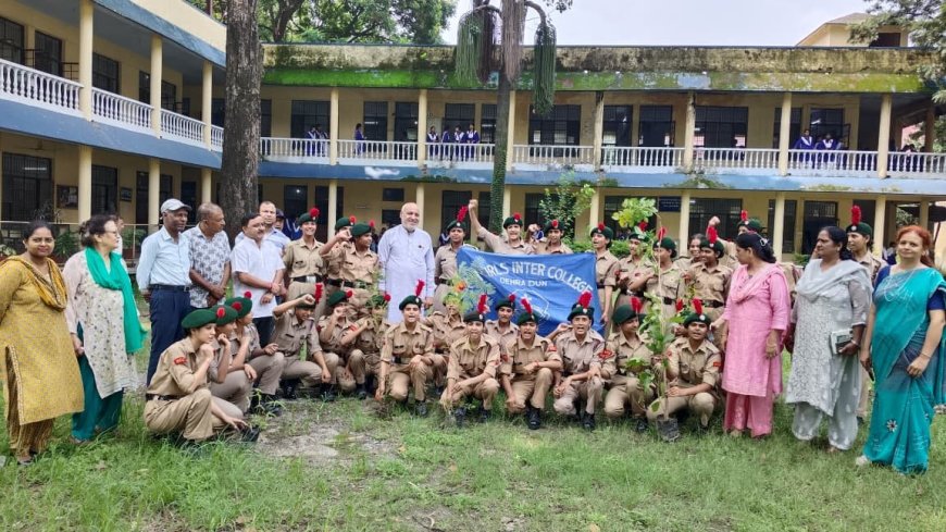 हरेला महापर्व: ज्योति प्रसाद गैरोला ने किया वृक्षारोपण, पर्यावरण संरक्षण की आवश्यकता पर जोर