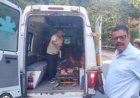 Champawat कार दुर्घटना: बनलेख में खाई में गिरी कार, एक की मौत; तीन घायल