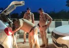 स्वतंत्रता दिवस पर सुरक्षा कड़ी, लालकुआं में चेकिंग अभियान तेज