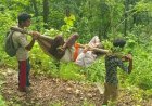 चम्पावत: बकोड़ा में सड़क निर्माण का इंतजार जारी, घायल किसान को कंधों पर ले जाने की तस्वीरें सोशल मीडिया पर वायरल