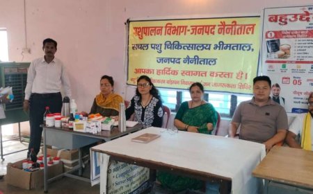 हल्दूचौड़-दौलिया में जनहित शिविर, राशन कार्ड व स्वास्थ्य सेवाओं का मिला लाभ