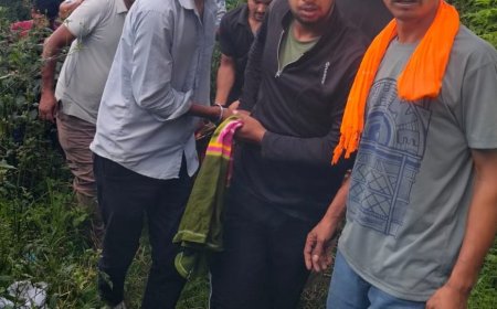 चम्पावत में सड़क हादसा: कार खाई में गिरी, एक की मौत और तीन घायल