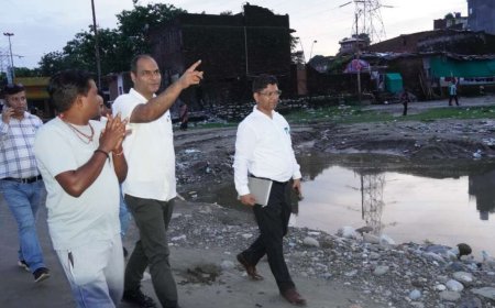 जिलाधिकारी ने शारदा घाट पर निर्माण कार्यों का किया स्थलीय निरीक्षण, कार्यों में तेजी लाने के दिए निर्देश