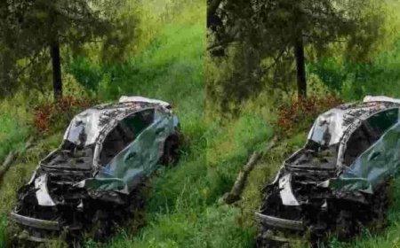 चम्पावत में एंबुलेंस को पास देते समय रेनॉल्ट कार खाई में गिरी, दो की मौत