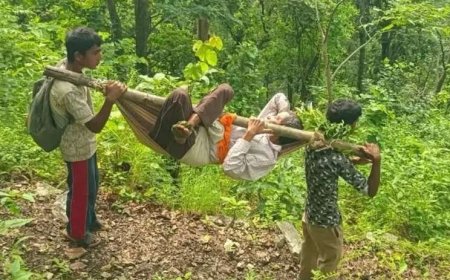 चम्पावत: बकोड़ा में सड़क निर्माण का इंतजार जारी, घायल किसान को कंधों पर ले जाने की तस्वीरें सोशल मीडिया पर वायरल