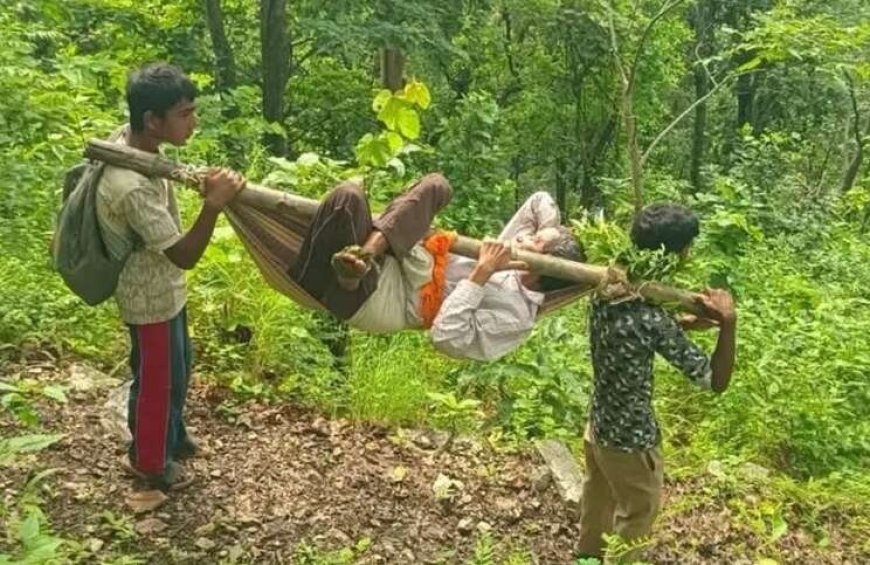 चम्पावत: बकोड़ा में सड़क निर्माण का इंतजार जारी, घायल किसान को कंधों पर ले जाने की तस्वीरें सोशल मीडिया पर वायरल