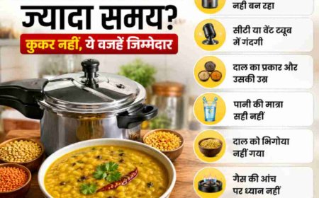दाल पकने में लग रहा ज्यादा समय? कुकर नहीं, ये वजहें जिम्मेदार