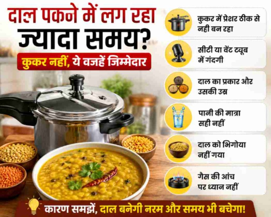 दाल पकने में लग रहा ज्यादा समय? कुकर नहीं, ये वजहें जिम्मेदार