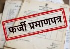 अल्मोड़ा: फर्जी टीईटी प्रमाणपत्र से बने तीन शिक्षकों की सेवाएं समाप्त