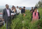 चम्पावत: कृषक महिलाओं के साथ हंसिया लेकर मडुआ के खेत पहुंचे डीएम, किया फसल कटाई का निरीक्षण