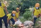 उत्तराखंड में लापता महाराष्ट्र के पर्यटक का शव मिला, सड़क से 40 मीटर नीचे झाड़ियों में पड़ा था शव