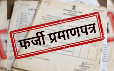 अल्मोड़ा: फर्जी टीईटी प्रमाणपत्र से बने तीन शिक्षकों की सेवाएं समाप्त