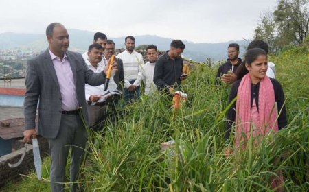 चम्पावत: कृषक महिलाओं के साथ हंसिया लेकर मडुआ के खेत पहुंचे डीएम, किया फसल कटाई का निरीक्षण