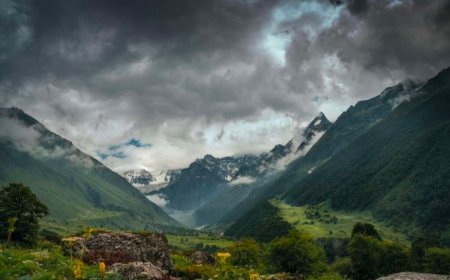 Uttarakhand Weather News: अगले 3 घंटे इन जिलों में येलो अलर्ट, जानें कल और आगे कैसा रहेगा मौसम