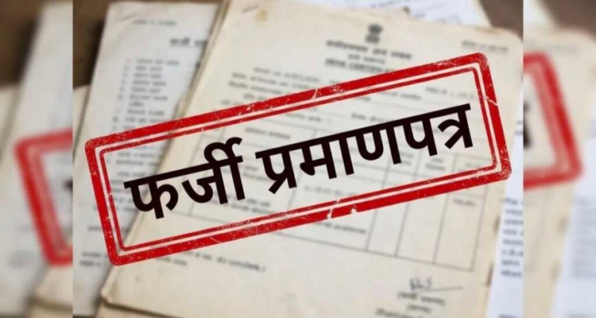 अल्मोड़ा: फर्जी टीईटी प्रमाणपत्र से बने तीन शिक्षकों की सेवाएं समाप्त
