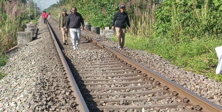 बाघ एक्सप्रेस की चपेट में आने से नर हाथी की मौत, दो घंटे बाधित रहा रेल संचालन