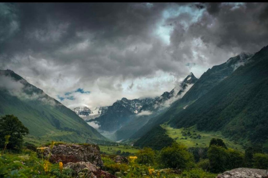 Uttarakhand Weather News: अगले 3 घंटे इन जिलों में येलो अलर्ट, जानें कल और आगे कैसा रहेगा मौसम